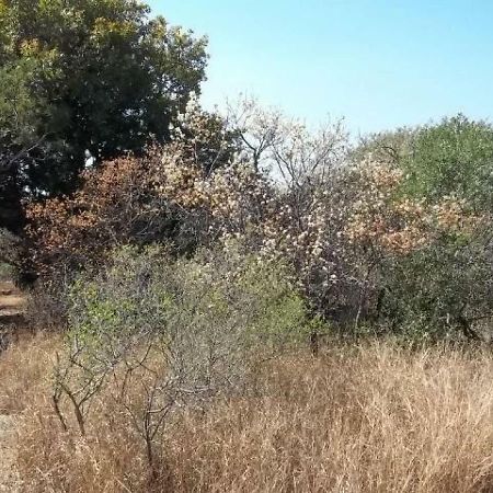 Aloes Bush Stay フッドスプルイト エクステリア 写真