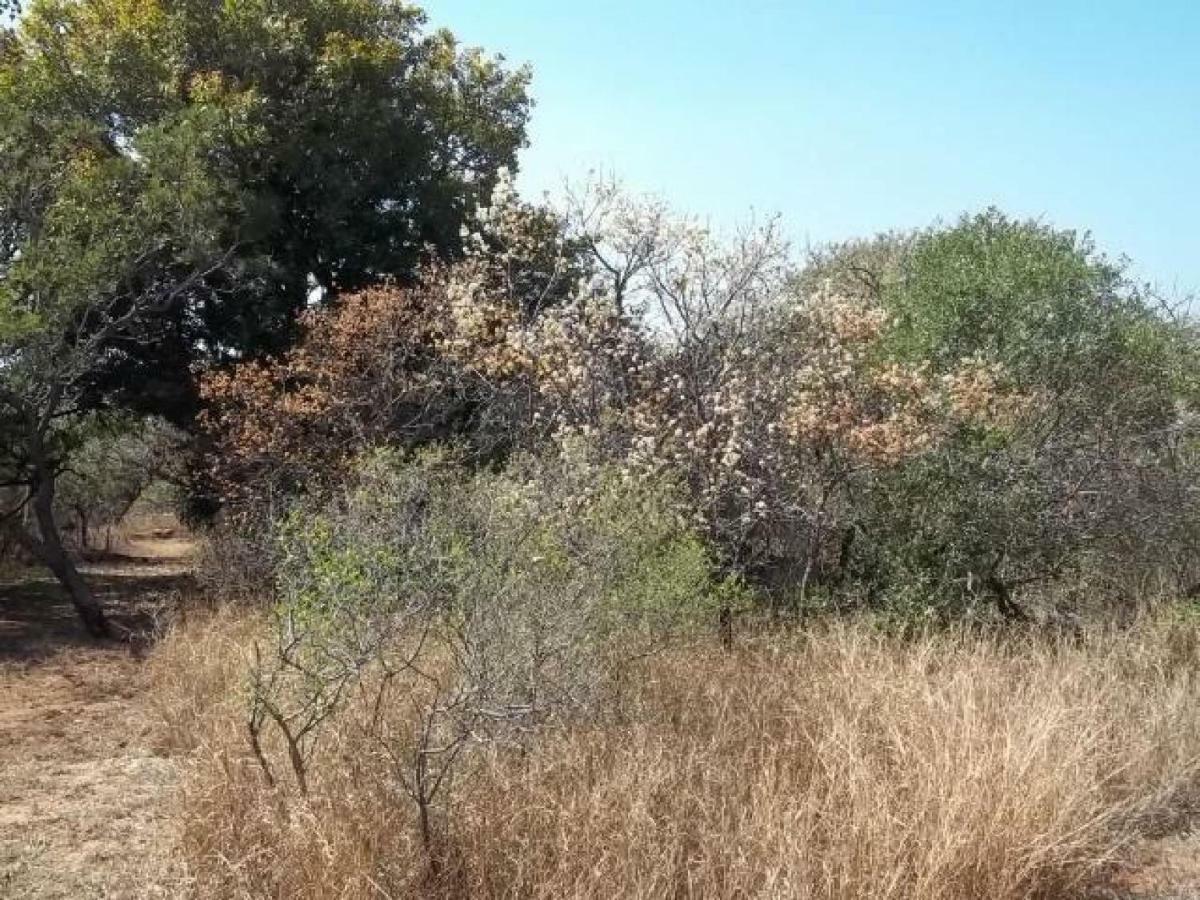 Aloes Bush Stay フッドスプルイト エクステリア 写真