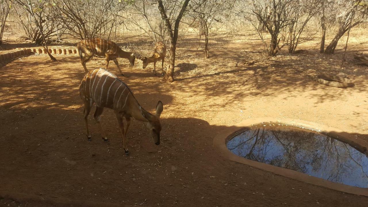 Aloes Bush Stay フッドスプルイト エクステリア 写真